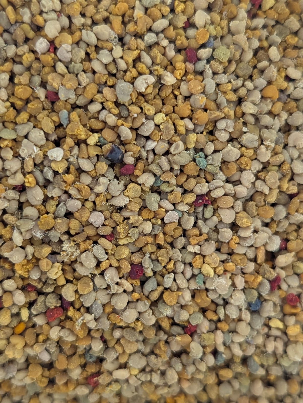 Goldstaub der Natur: Warum Blütenpollen ein echtes Superfood sind
