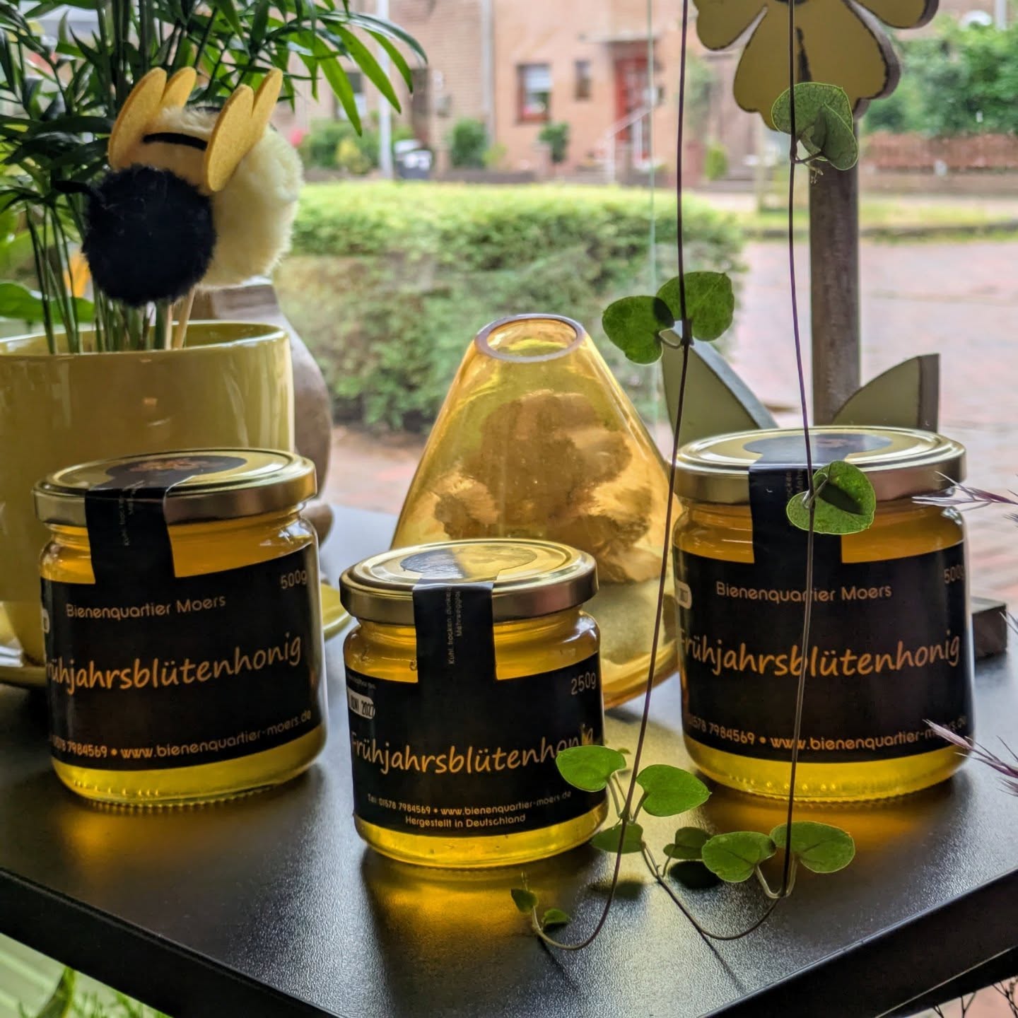 Pflanzen und Bienen – Eine himmlische Partnerschaft für unsere Region mit dem Pflanzen Himmel