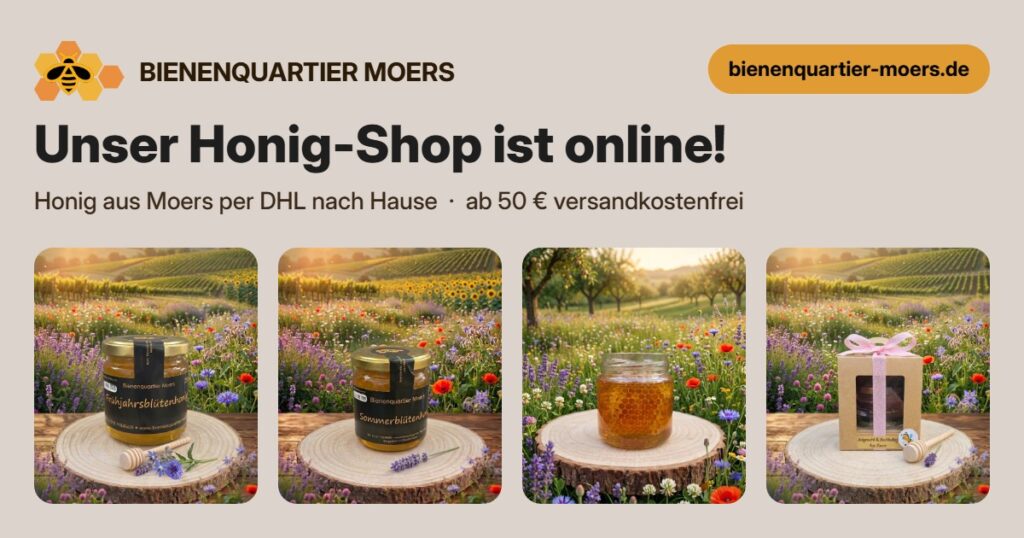 Unser Honig-Shop ist online – Honig aus Moers vom Bienenquartier Moers